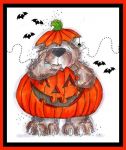 Pumpkin Griz Card